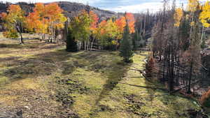 View of yard with a mountain view