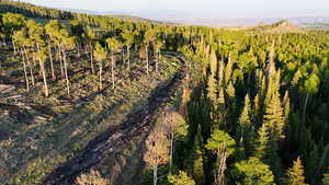 Aerial view of property's location featuring a forest