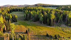 View of mountain background featuring a forest