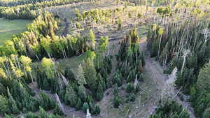 Aerial view of property and surrounding area featuring a forest