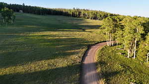 Surrounding community with a yard and a forest view