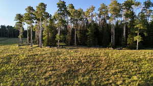View of wooded area
