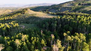 Mountain view featuring a heavily wooded area