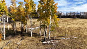 View of local wilderness with rural landscape