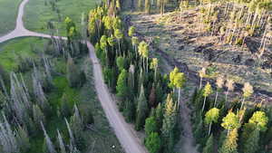 Aerial view of property and surrounding area