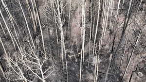 View of undeveloped land