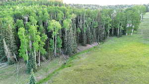 View of green lawn with a view of trees