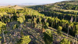 Mountain view featuring a forest