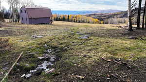View of yard with a mountain view, an outdoor structure, and a barn