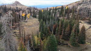 Mountain view with a forest