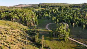 Aerial overview of property's location with a heavily wooded area
