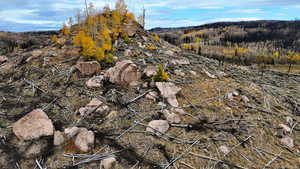 View of mountain backdrop with a heavily wooded area