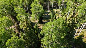 View of undeveloped land