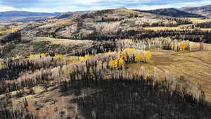 View of mountain background