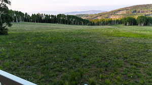 View of green lawn featuring a mountain view and a view of trees