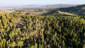 View of mountain background with a forest
