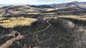 View of mountain background