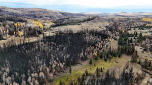 View of mountain background featuring a forest