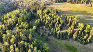 Aerial view of property and surrounding area featuring a forest