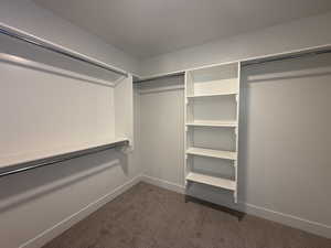 Walk in closet featuring dark colored carpet