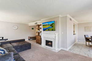 Living area with a textured ceiling, ornamental molding, and a premium fireplace