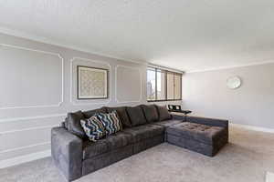 Carpeted living room featuring ornamental molding and a textured ceiling