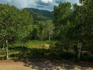 View of mountain backdrop with a heavily wooded area