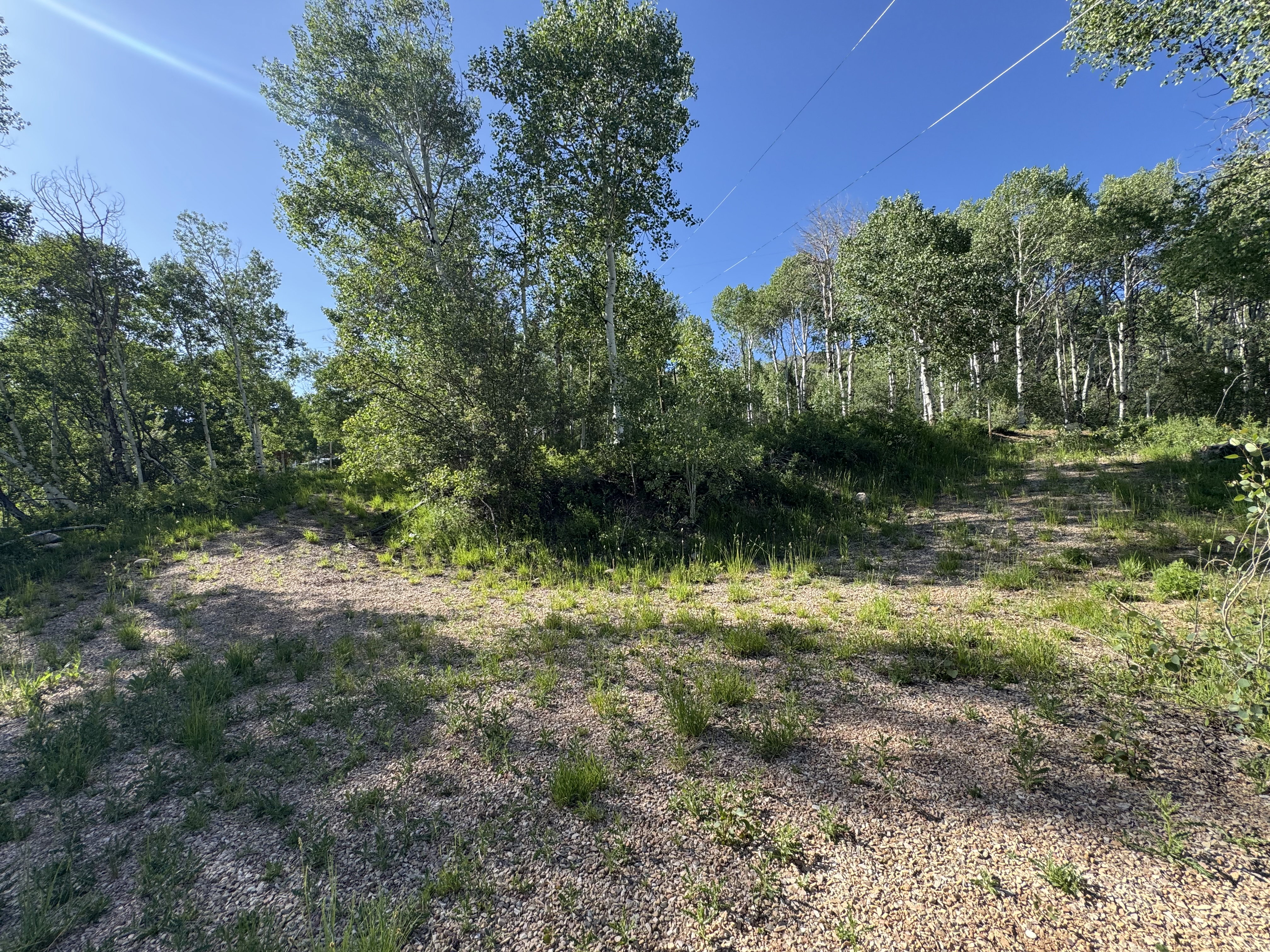 View of lot