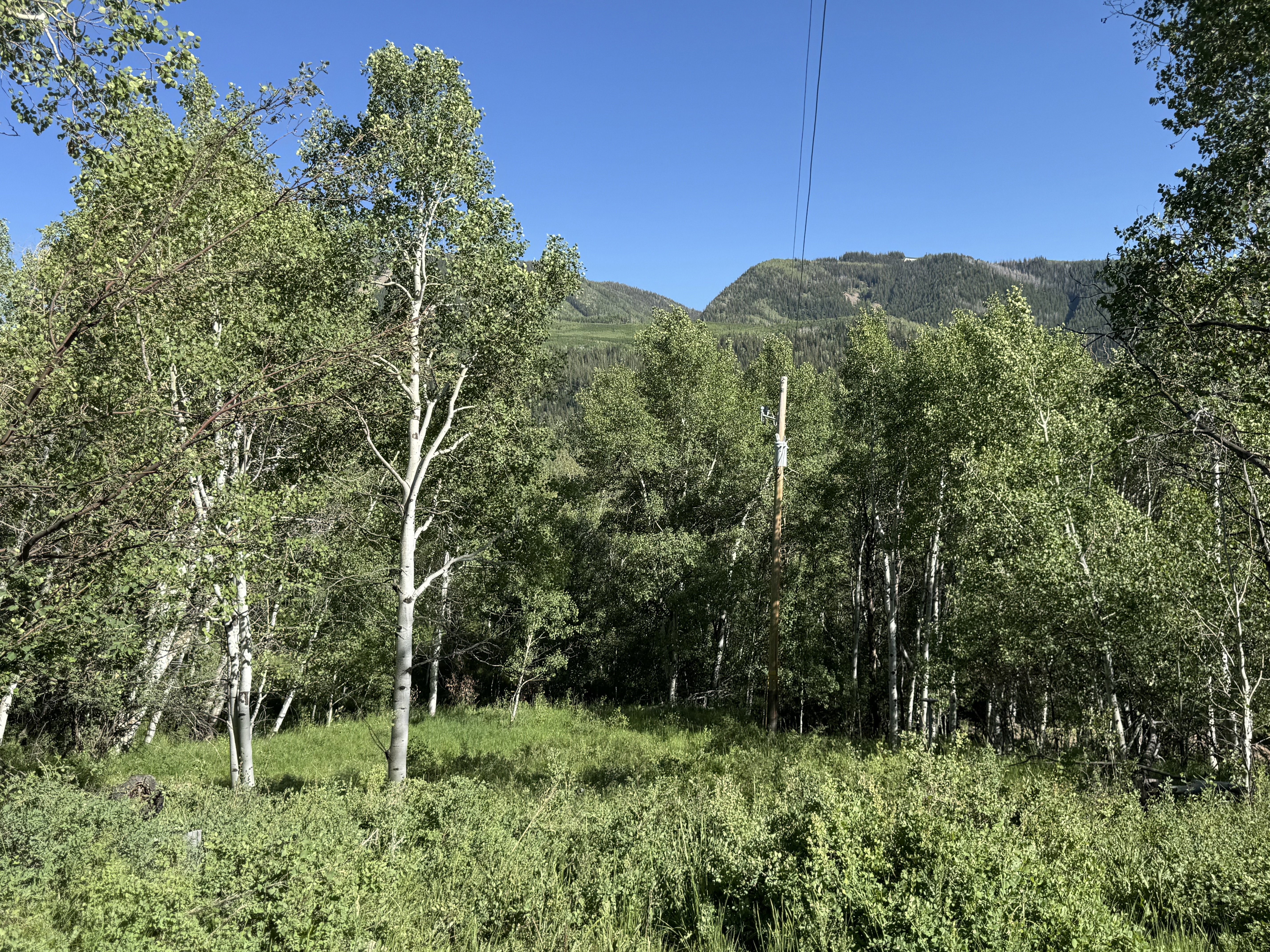 View from lot