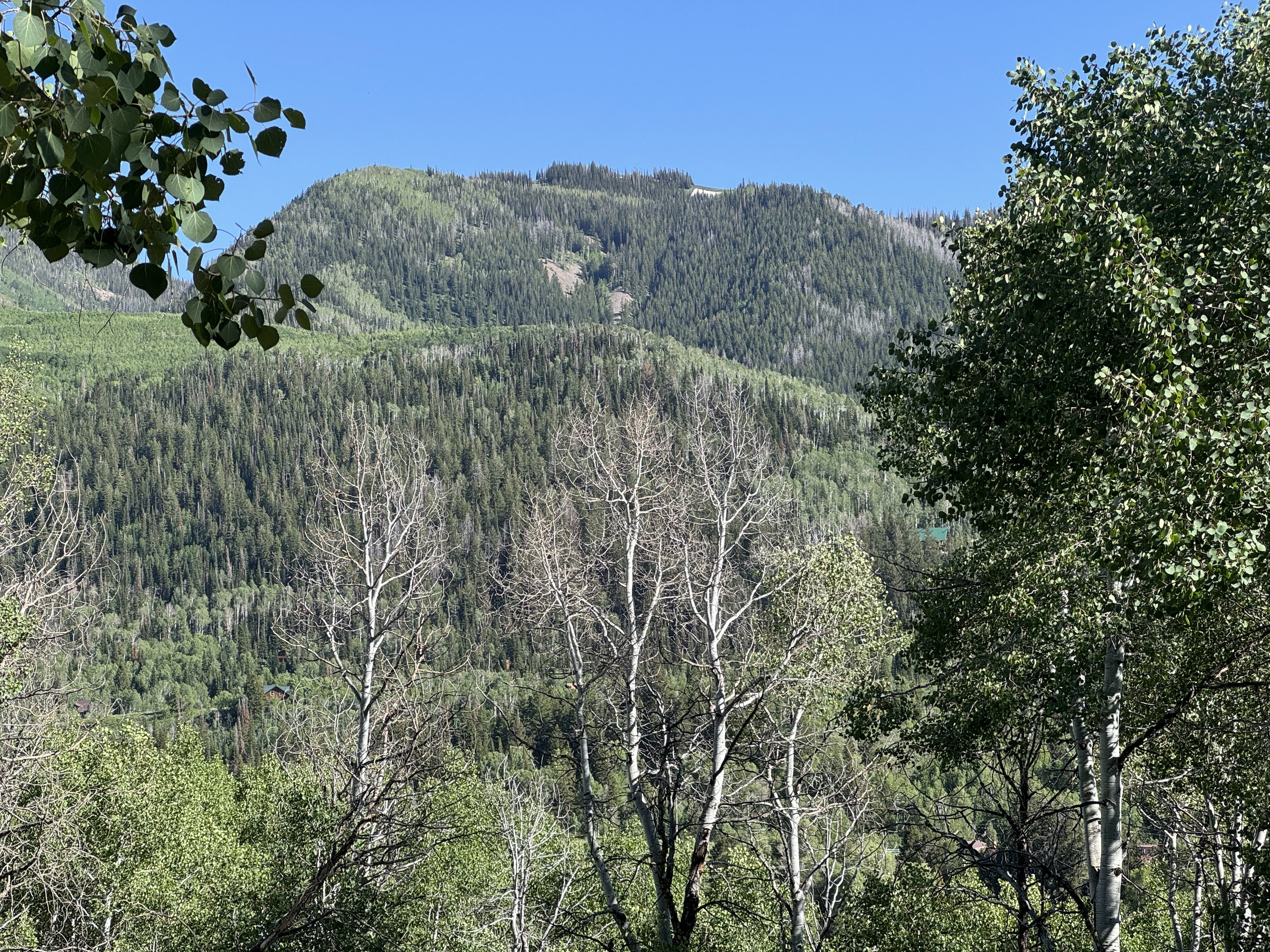 Mountain view from lot