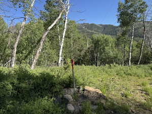 Water spigot on the lot