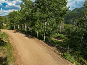 View of dirt / gravel road featuring a mountain view