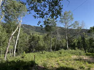 Mountain view with a heavily wooded area