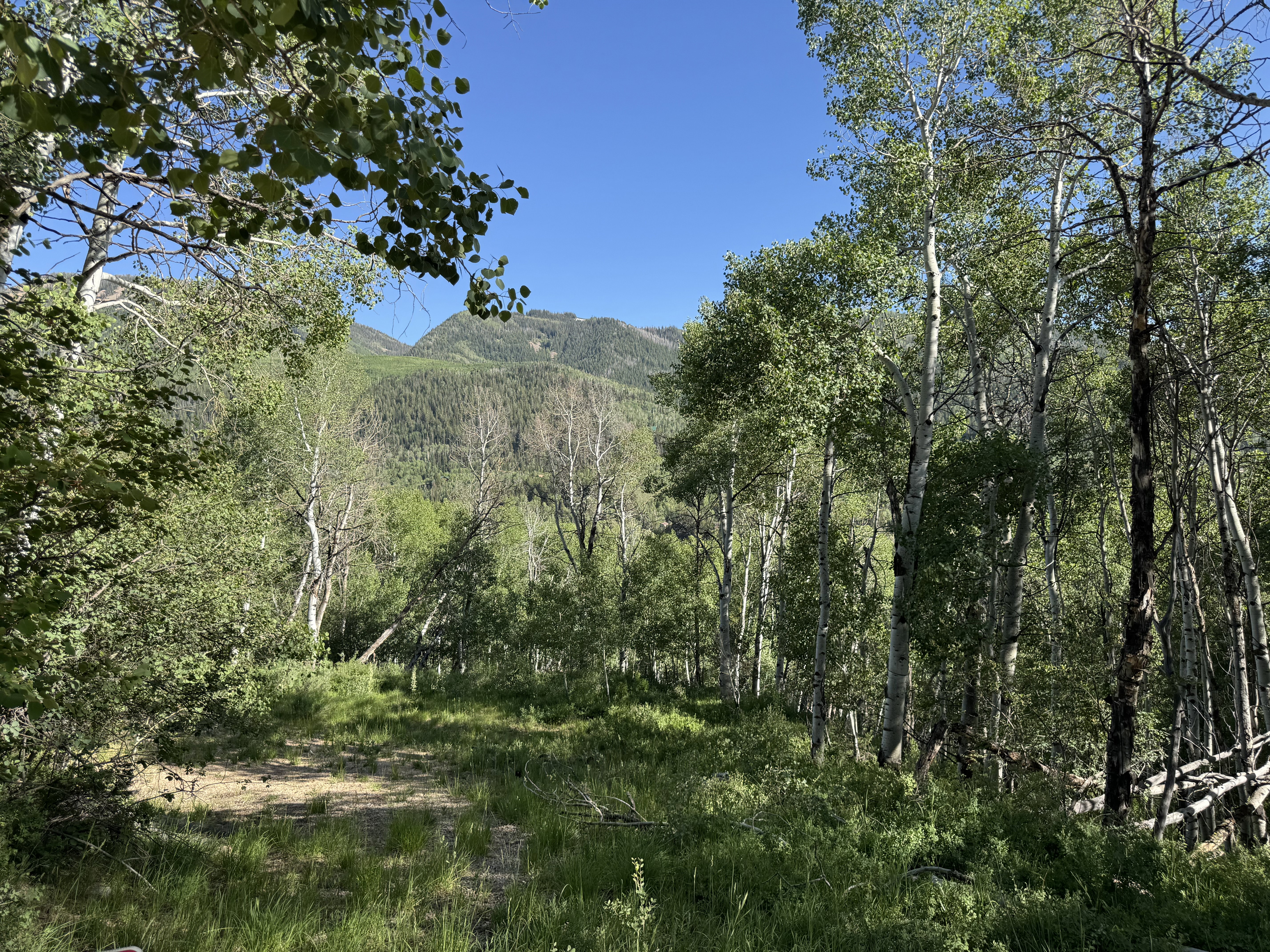 View of mountain background from the lot