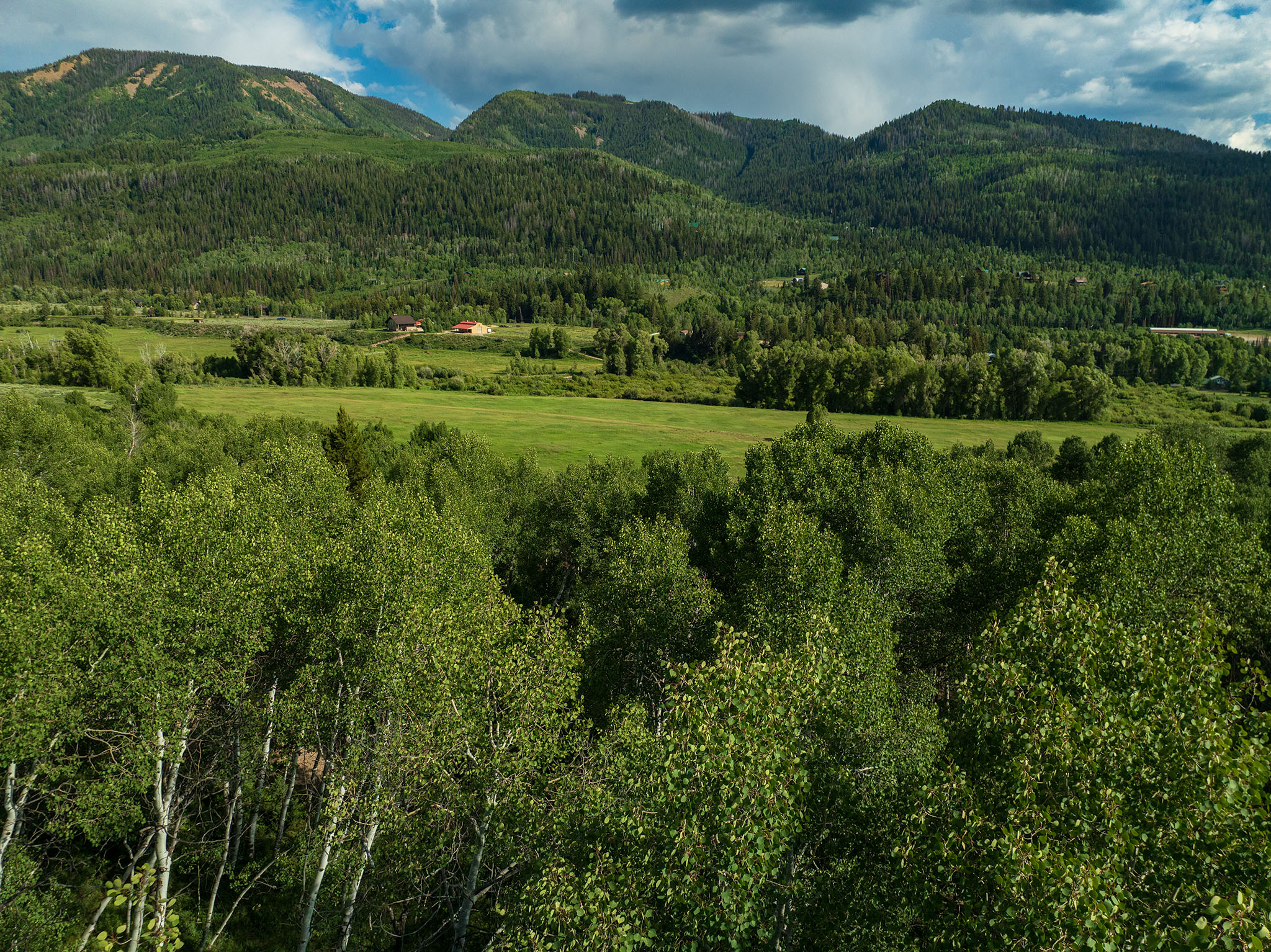 Mountain view with a forest
