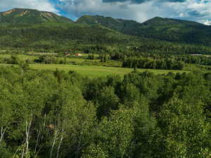 Mountain view with a forest