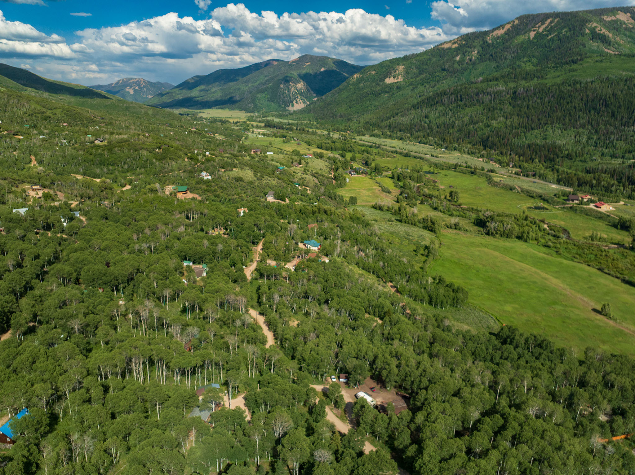 View of mountain background with a forest