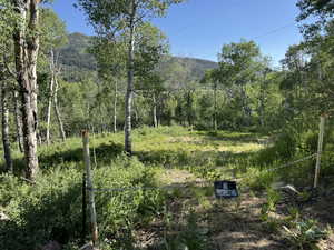 View of yard with a mountain view and a wooded view - start of roughed in horseshoe driveway