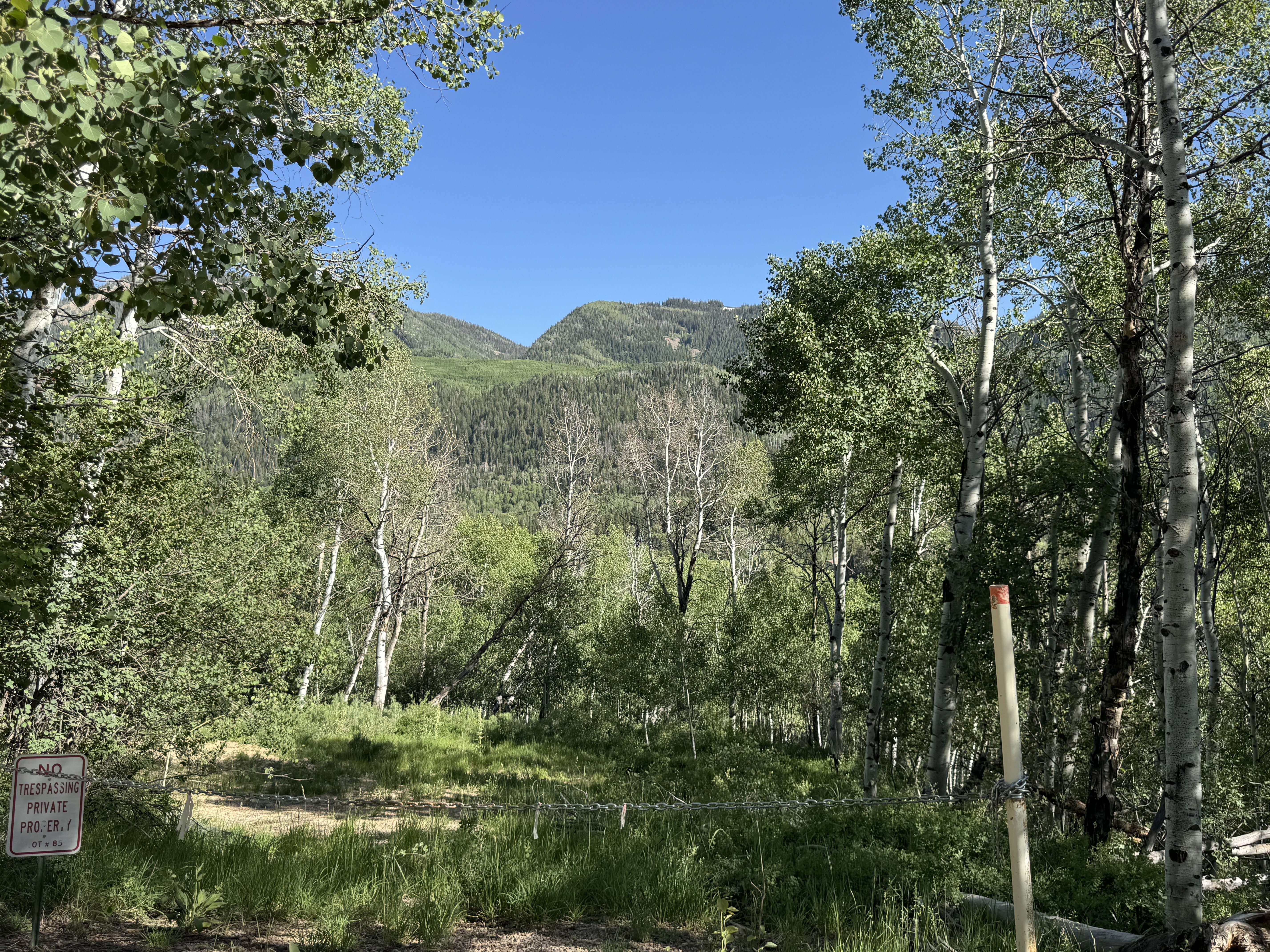 View from the lot