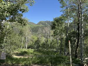 View from the lot