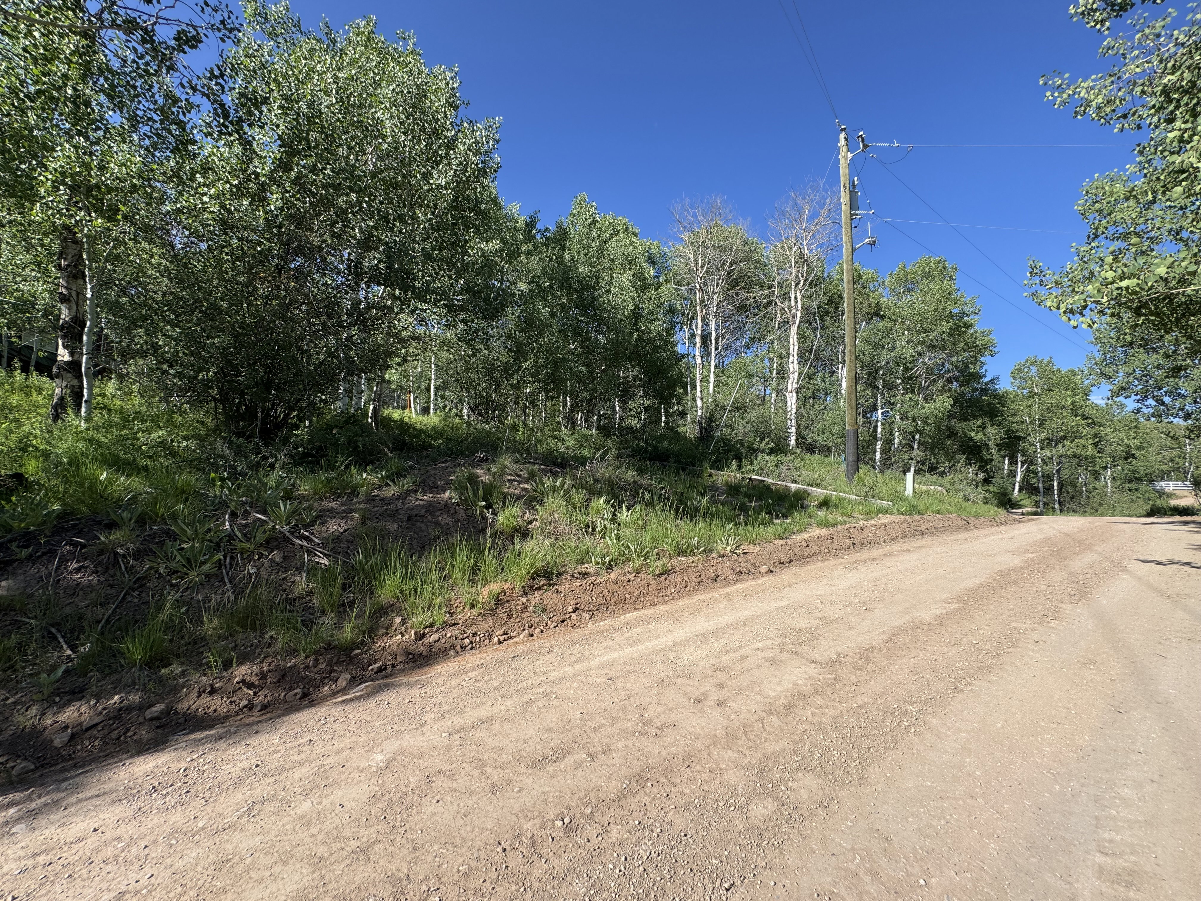 View of dirt / gravel road