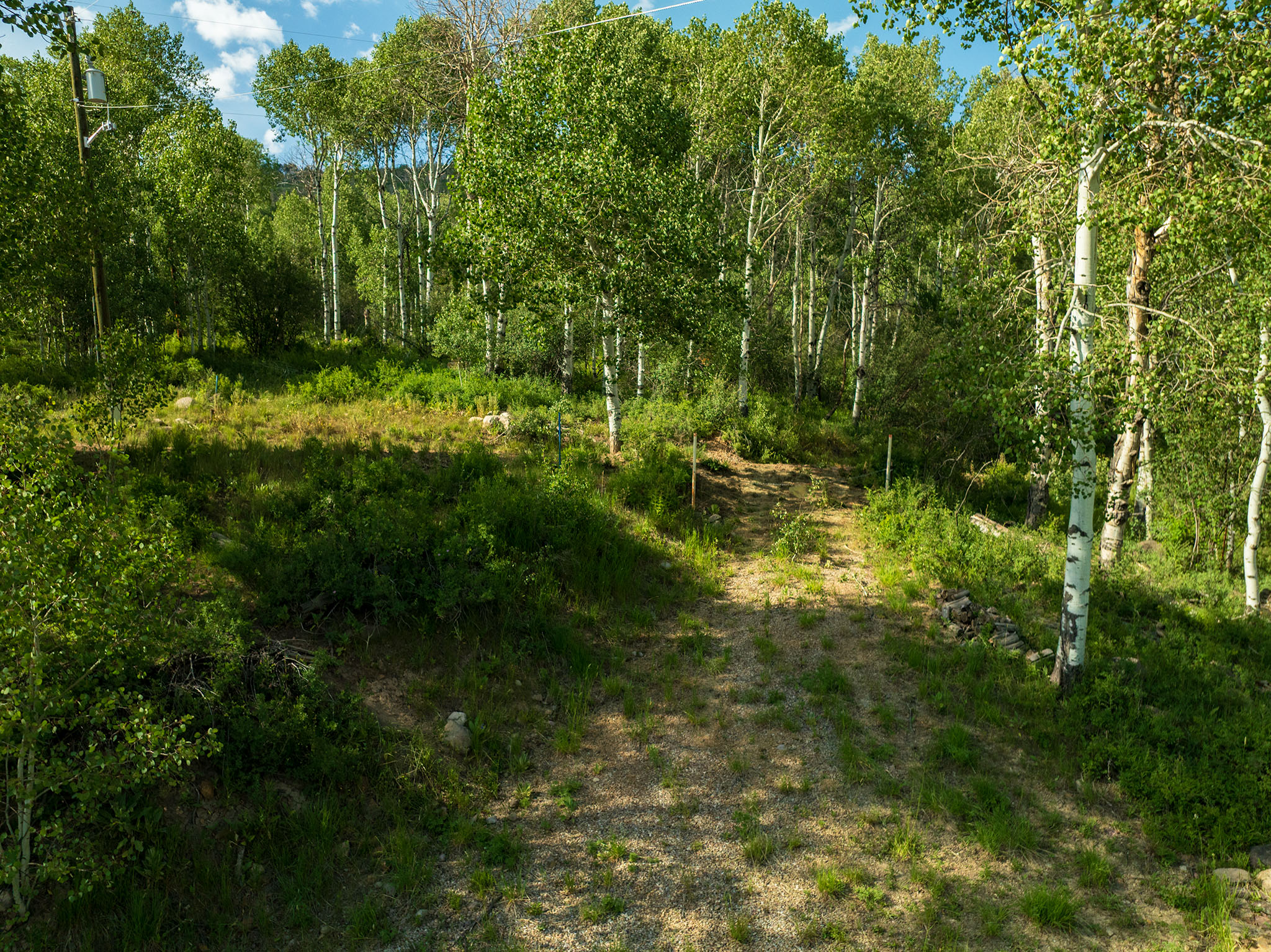 View of nature