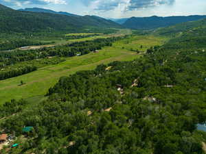 Bird's eye view of a mountainous background and a forest