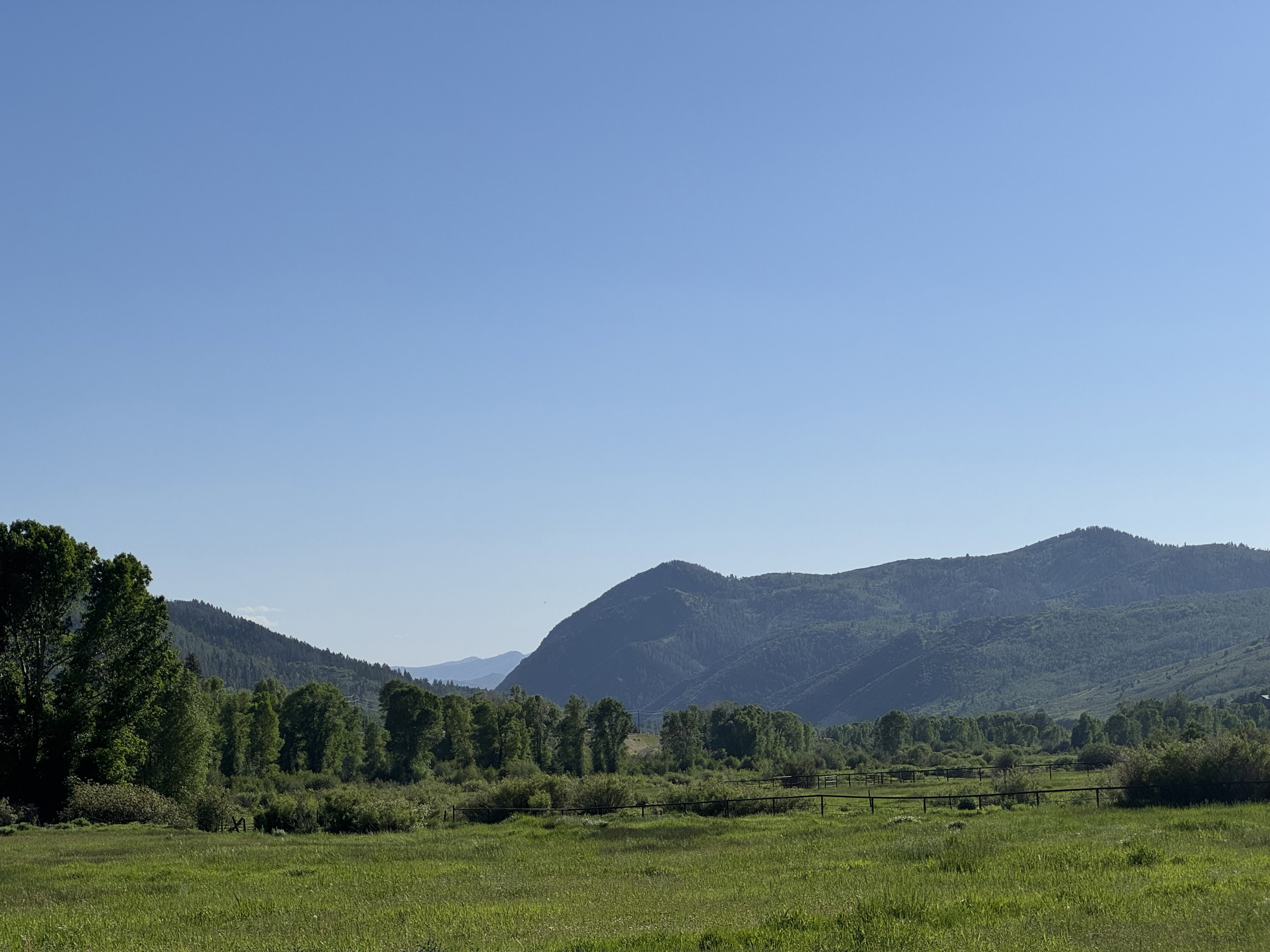 View from within the subdivision