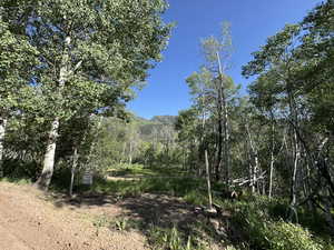 View of undeveloped land featuring a mountainous background