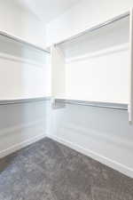 Spacious closet with carpet flooring