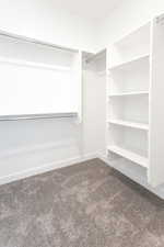 Spacious closet featuring carpet floors