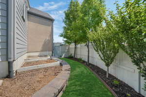 Backyard w/grow boxes