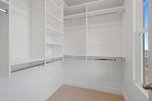 Spacious closet with carpet flooring