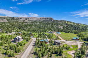 Aerial view of a forest and mountains